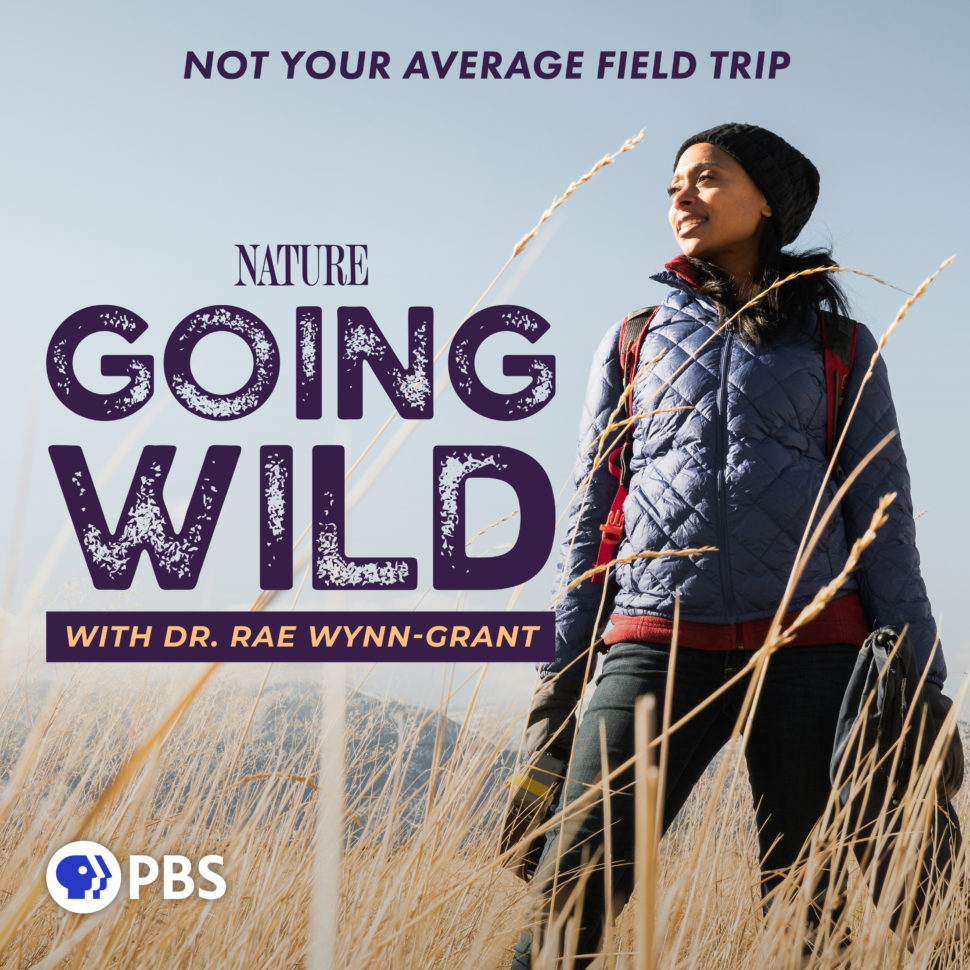Dr. Rae Wynn-Grant, Going Wild Podcast