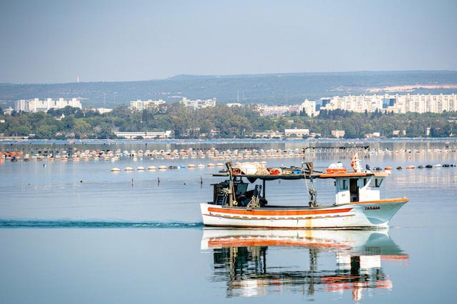 fishing boat in Italy's Taranto port waterways
