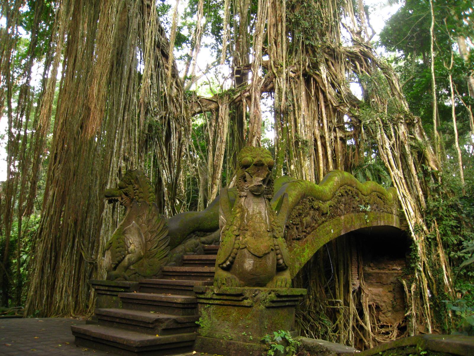 The Ubud Monkey Forest