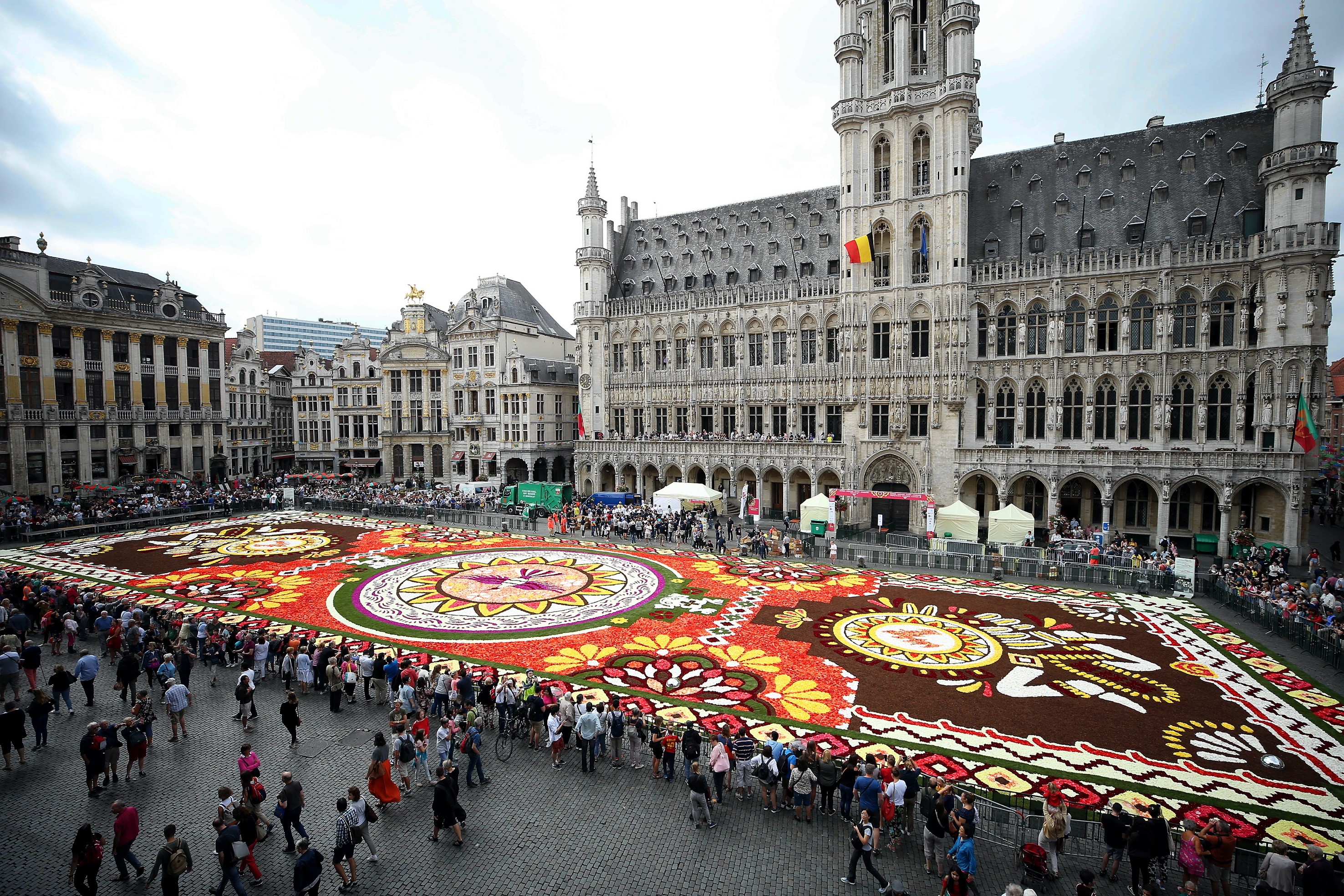 Sight For Sore Eyes: Flower Carpet of Brussels