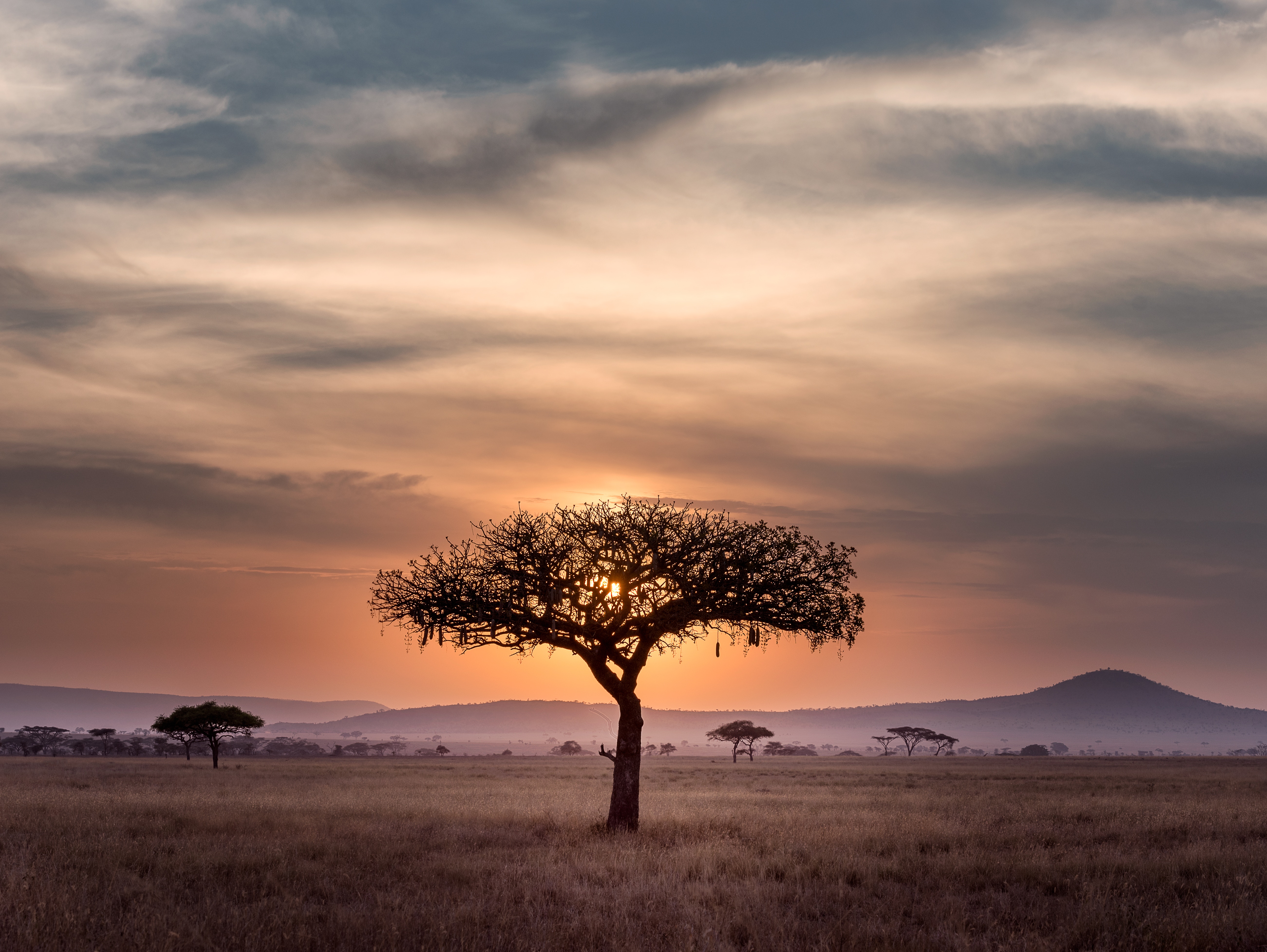 7 Tips For Planning Your First Trip To Africa