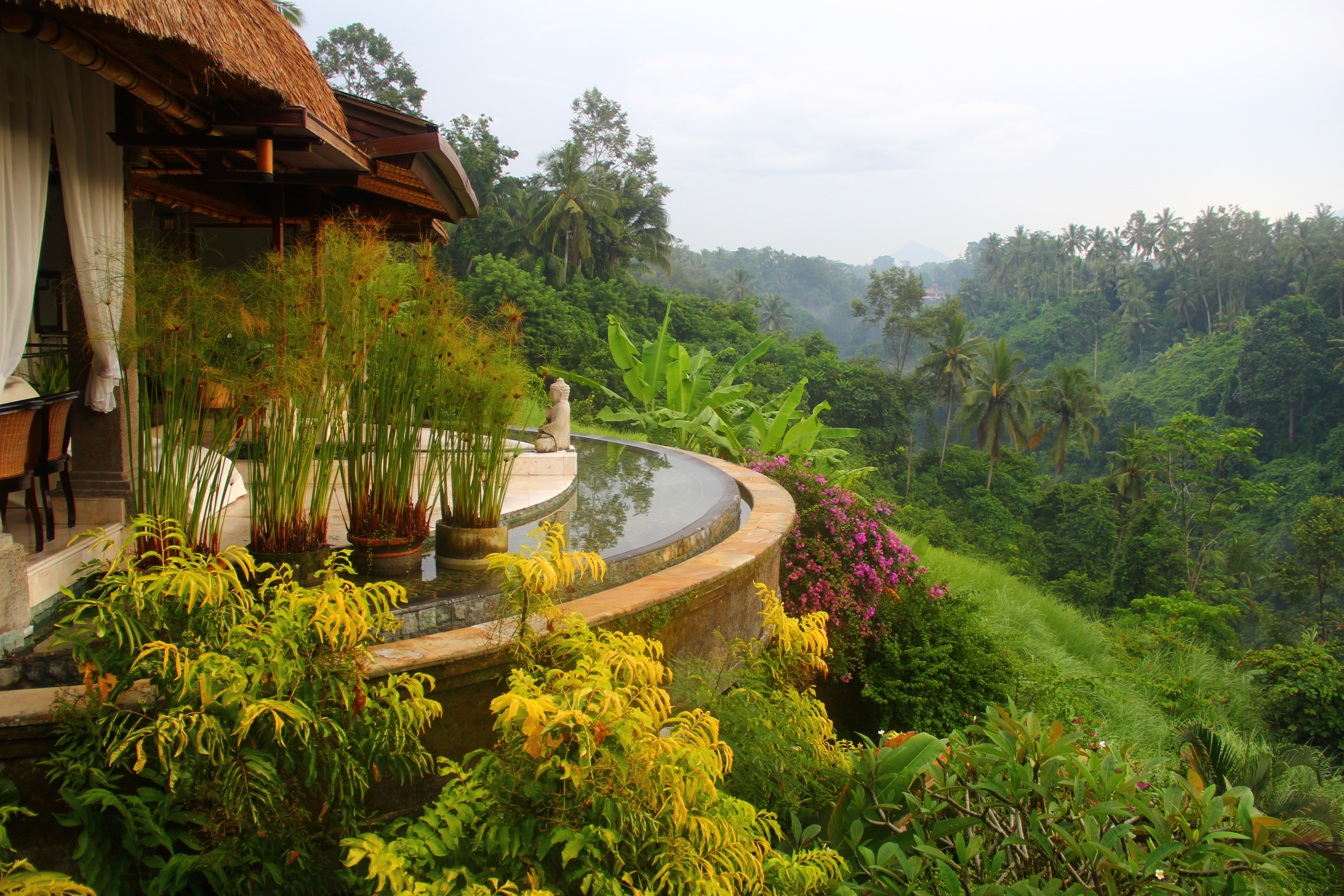 Culinary Masterpieces in Bali