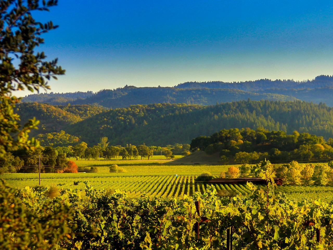 Where To Play, Stay and Taste in Napa Valley