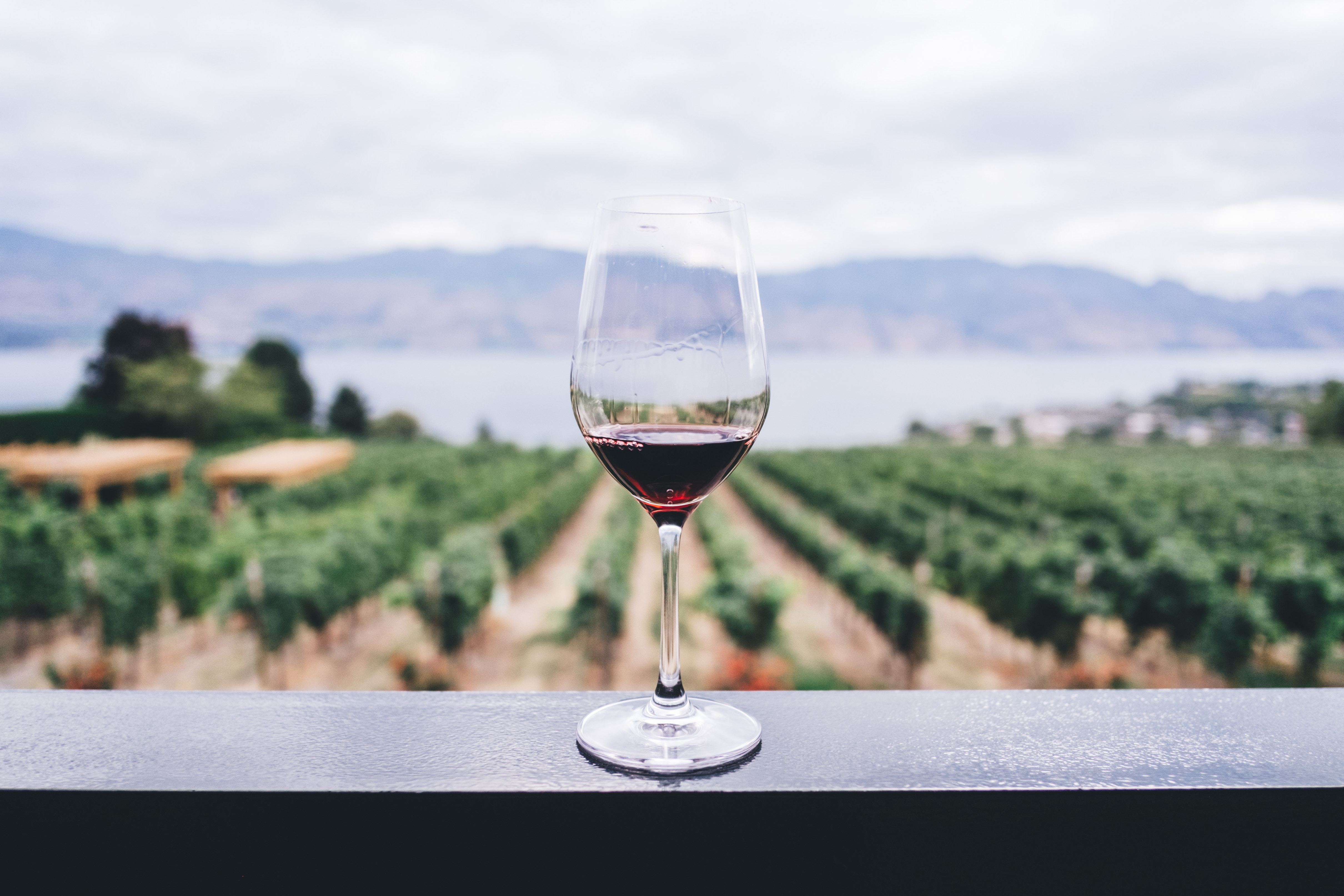 5 Best Wine Destinations In The US Outside Napa Valley