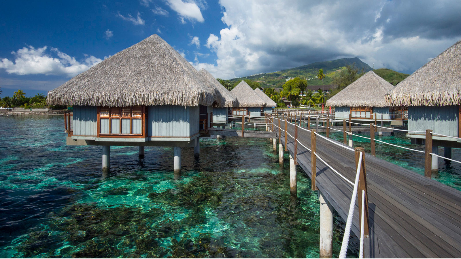 Take A Dream Trip to Tahiti for Half The Price