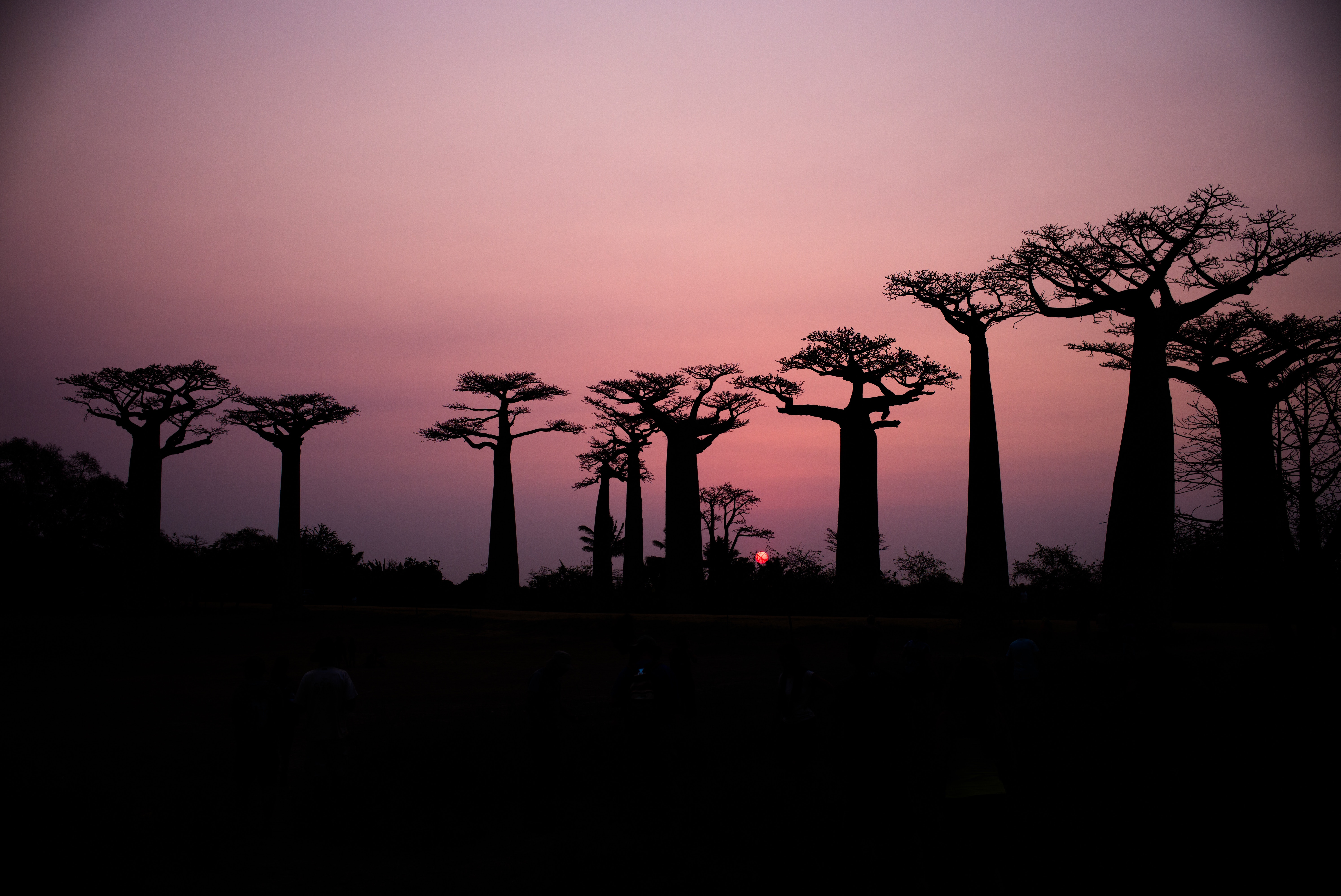 This Is What You Should Know About The Madagascar Travel Advisory