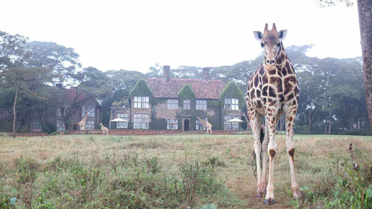 Nairobi Hotels: From Airbnb to Hidden Gems