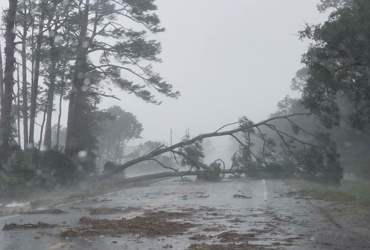 Here's What Florida and Surrounding Areas Look Like After Hurricane Michael