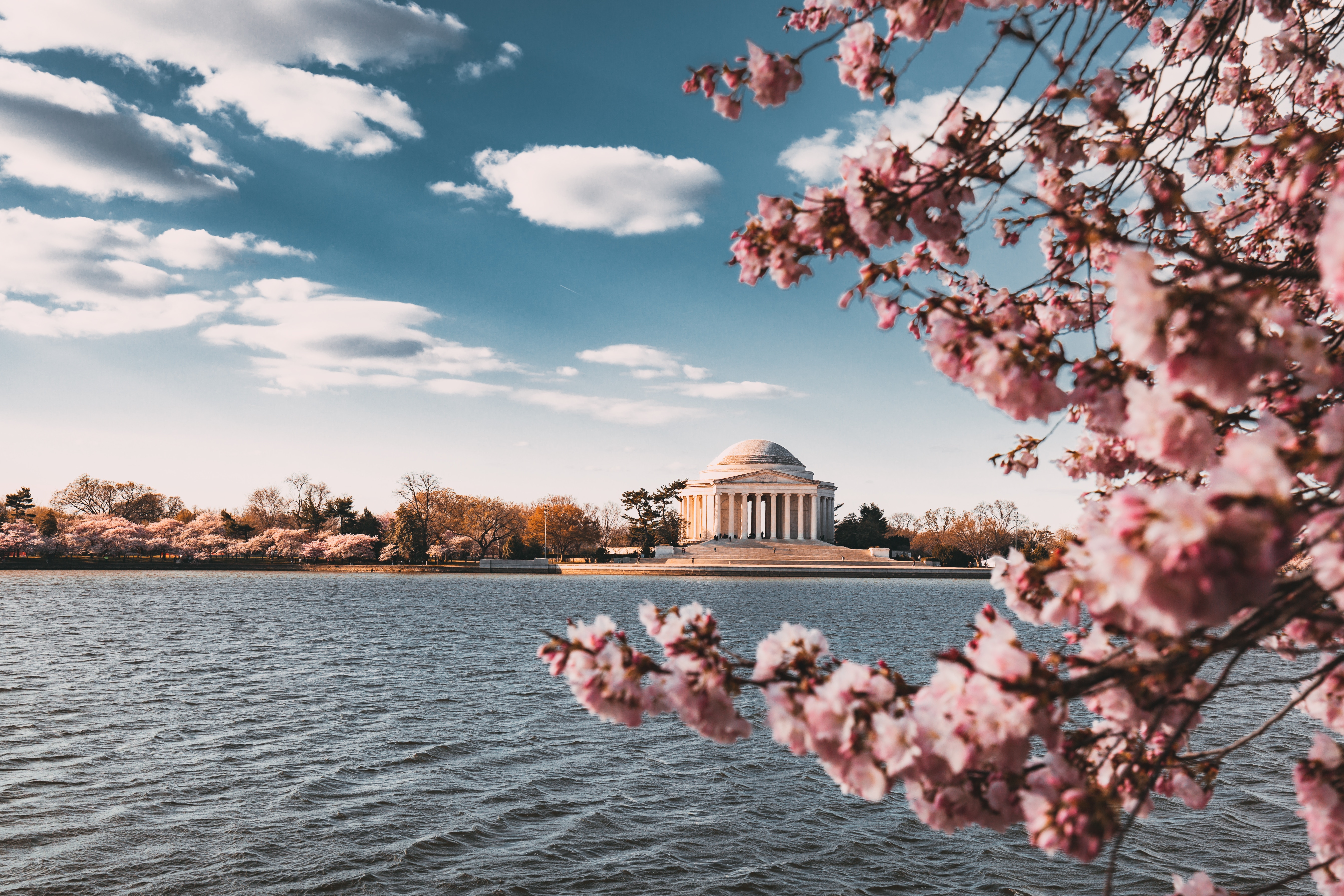 9 Most Instagrammable Locations in Washington, D.C.
