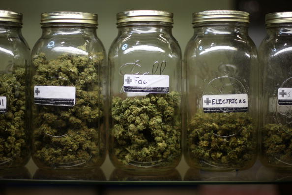 Almost Half Of The United States Has Legalized Weed