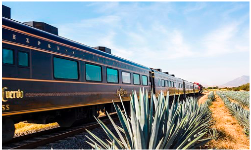 The All-You-Can-Drink Tequila Train Is Now Boarding