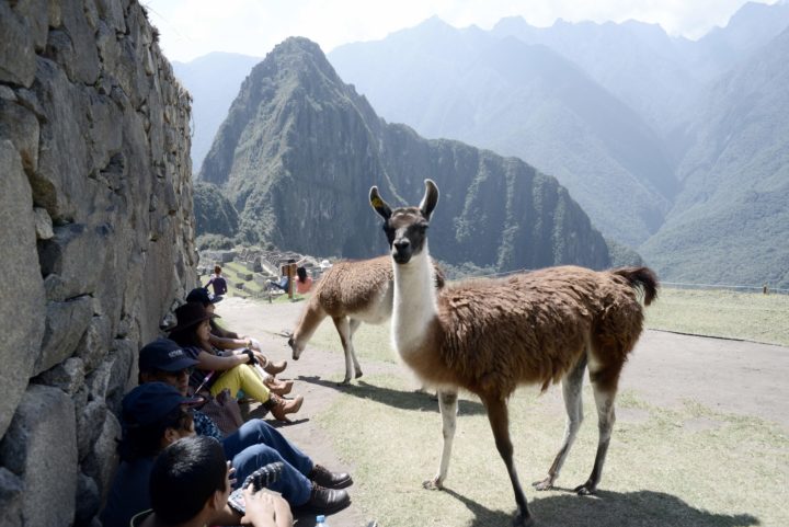 Machu Picchu Is Now Wheelchair Accessible