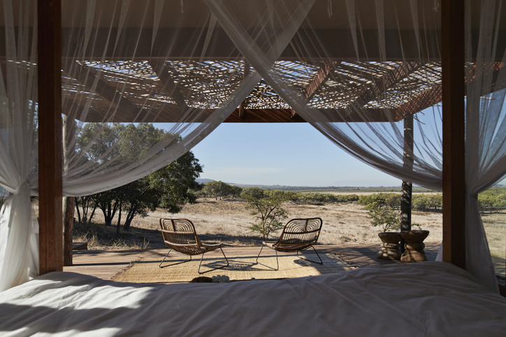 Top Luxury South African Safaris You Should Visit