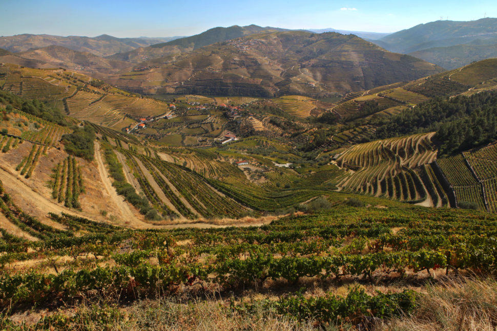 Pictured: Douro Valley