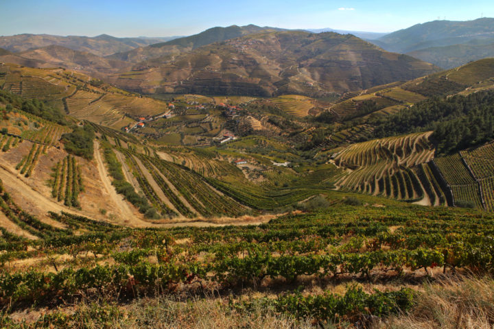Why Every Wine Lover Needs to Visit Portugal’s Douro Valley
