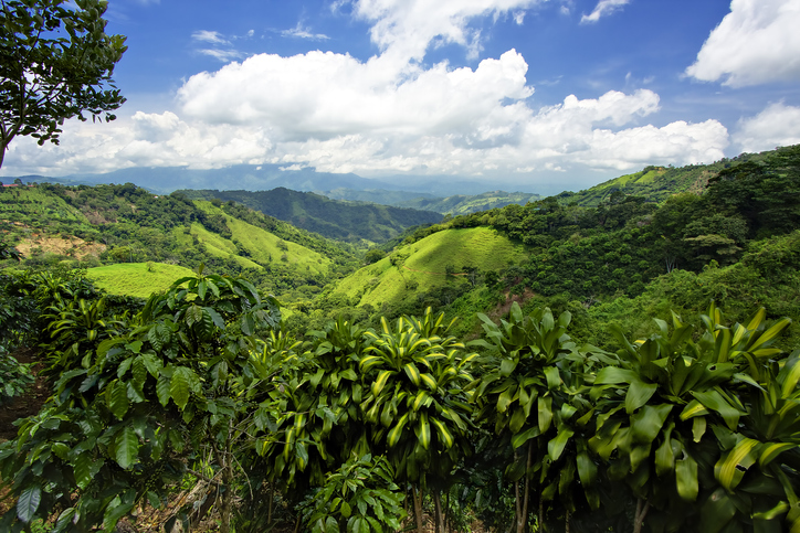 Flight Deal: NYC To San Jose, Costa Rica For As Low As $271