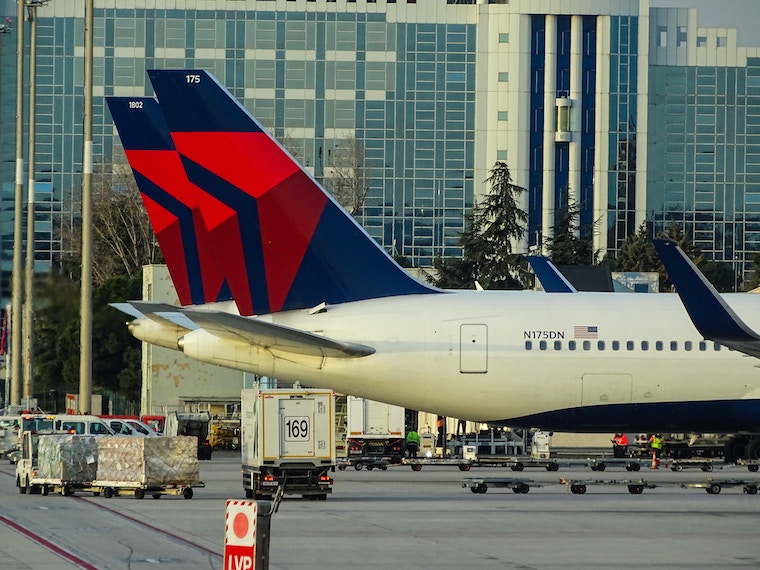 Delta Passenger Mauled By Emotional Support Dog Sues Airline