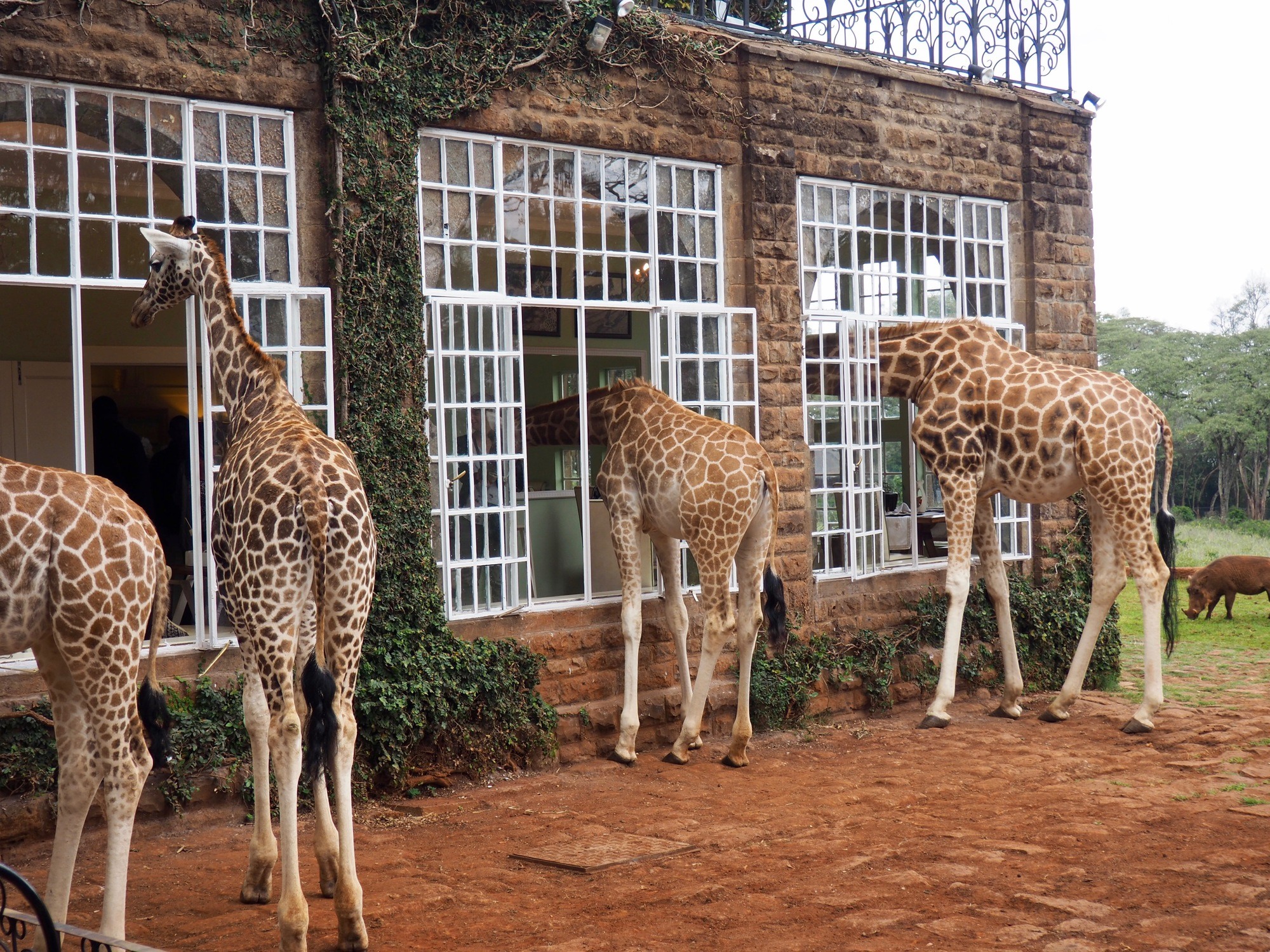 Beautiful Stays In Kenya With A View