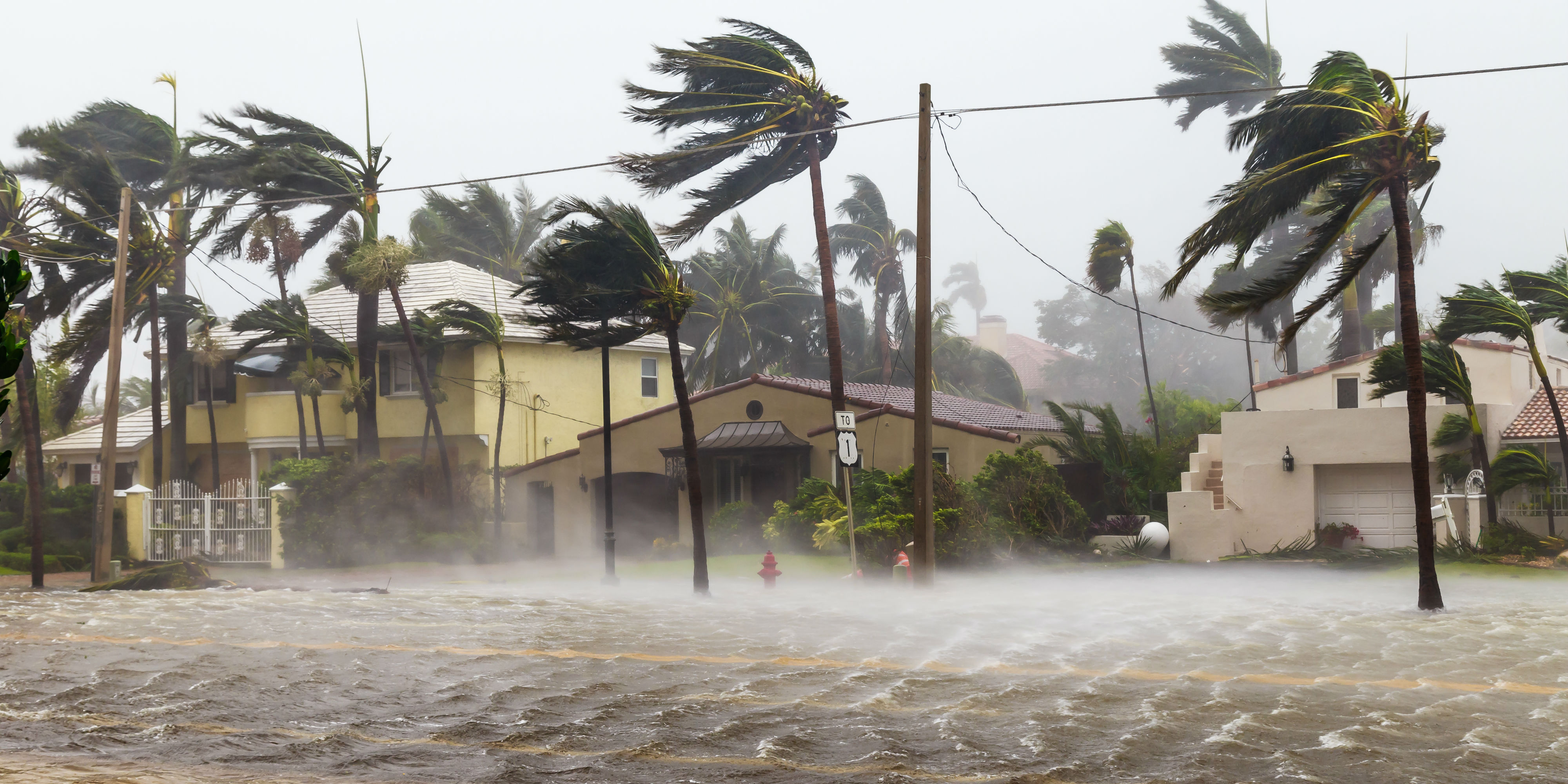These Are The Things You Must Know Before Purchasing Hurricane Travel Insurance