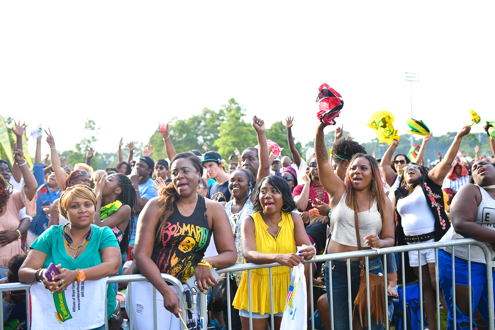 Enjoy A Day Of Caribbean Culture At New York's 2019 Grace Jamaican Jerk Festival