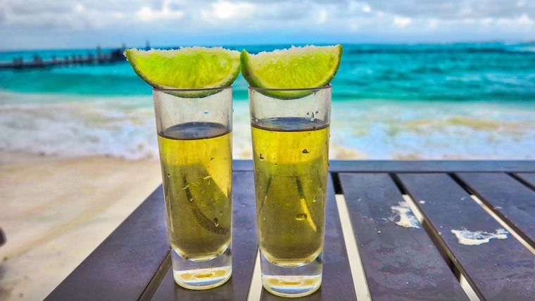 Add One Of These Mexican Tequila Tours To Your Travel Itinerary