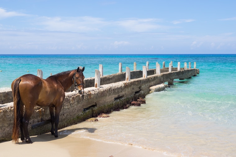 Here's Why More Tourists Are Flocking to Jamaica