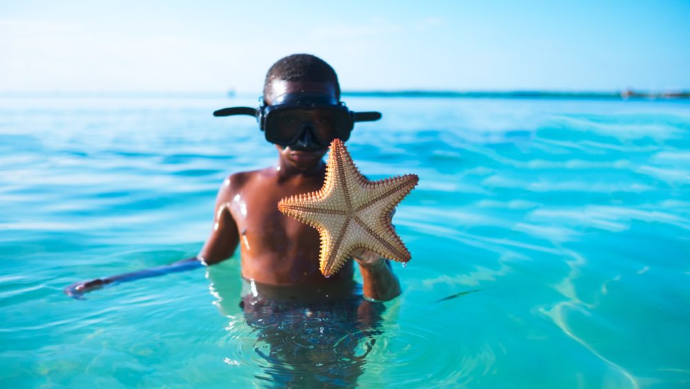 Dive Into These Top 5 Snorkeling Sites Around The World