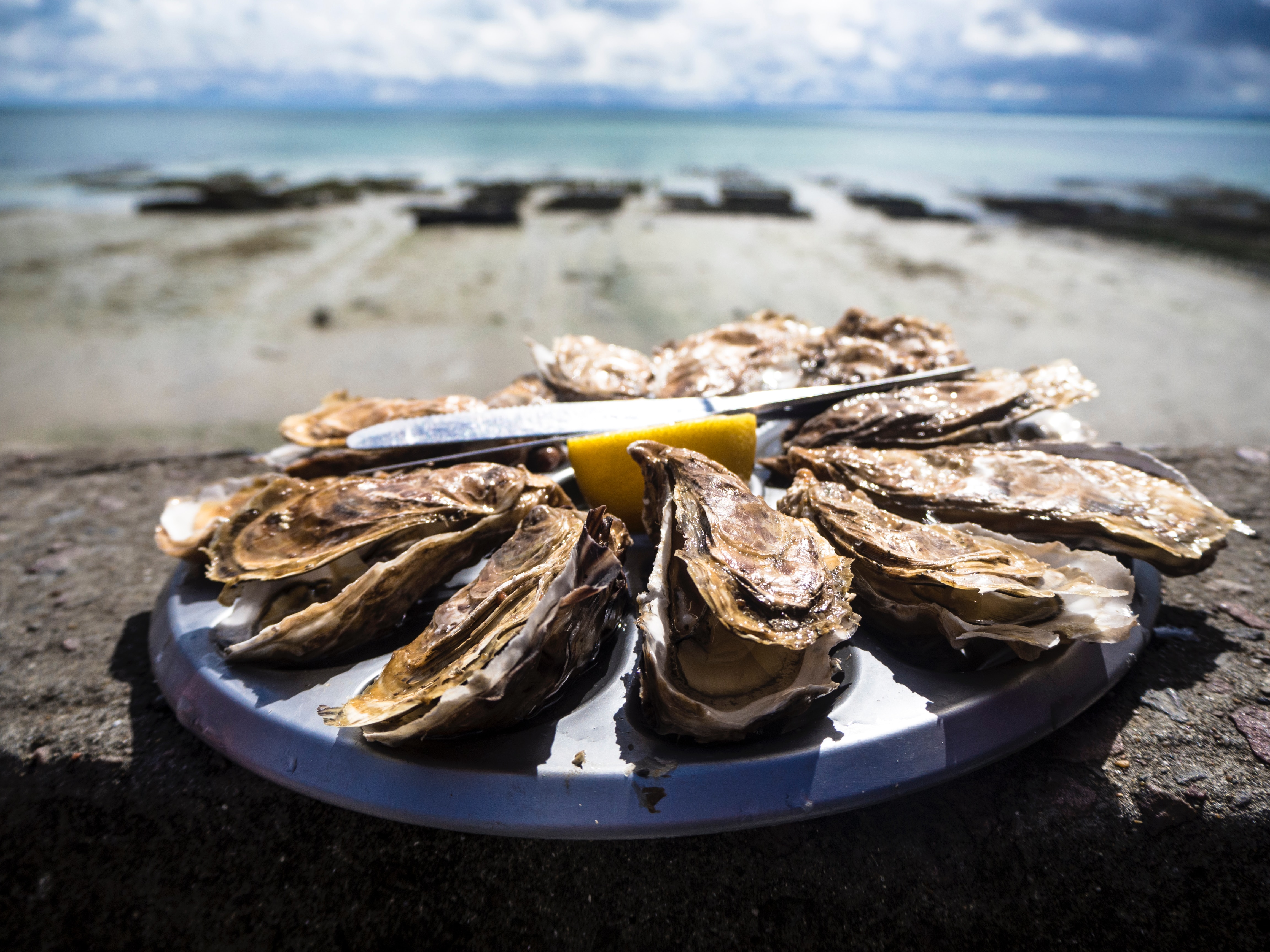 Two Die After Eating Raw Louisiana Oysters In Florida