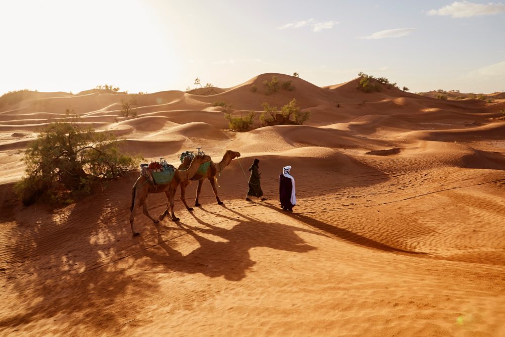Unforgettable Morocco Desert Tours From Marrakech