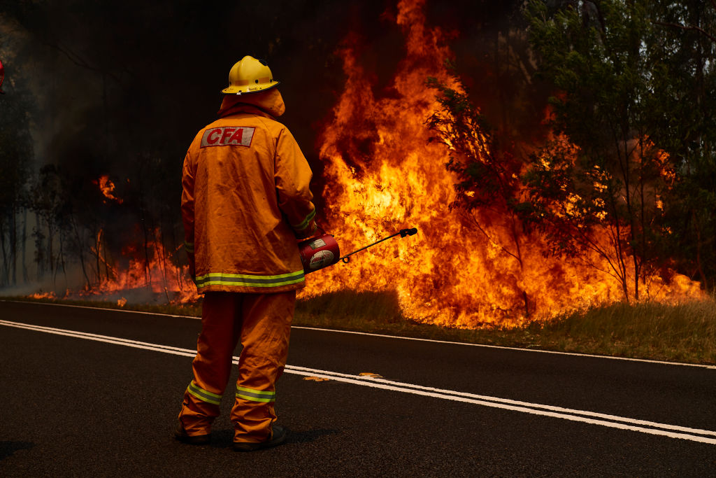 Australia Is On Fire. Here Are 4 Ways You Can Help Right Now
