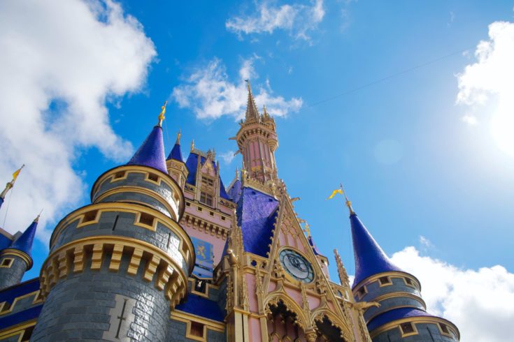 Internet Condemns Disney After Employee Interrupts Marriage Proposal