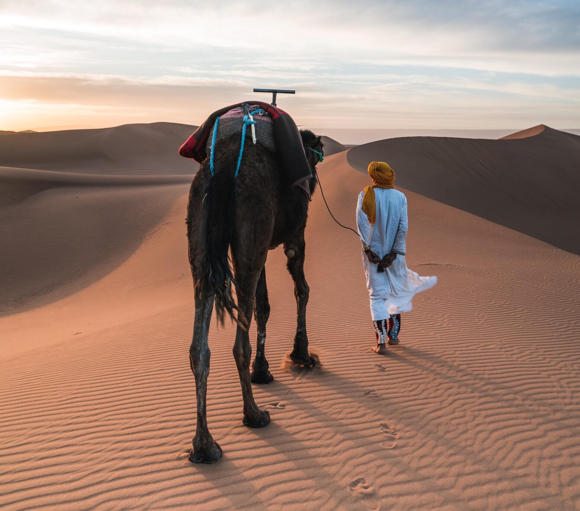 Morocco Is Opening to Tourists. Here’s What You Should Know