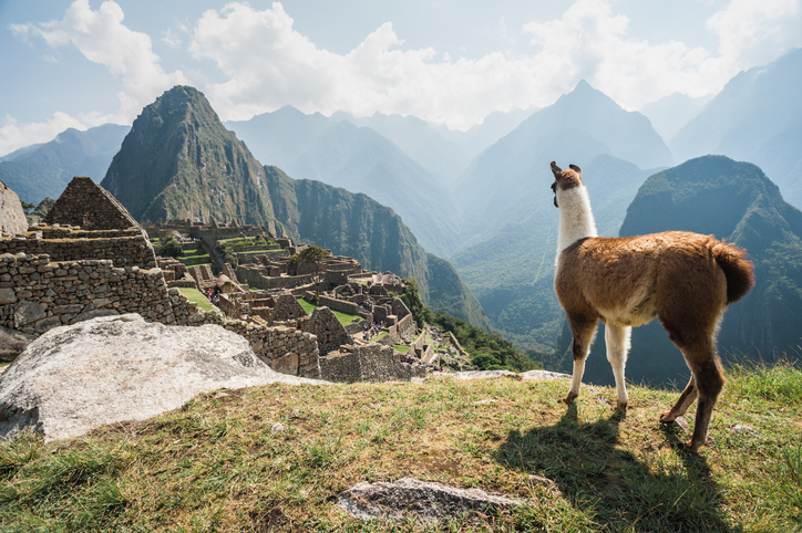 Machu Picchu Reopens This Week With Discounted Tours, But Limited Capacity