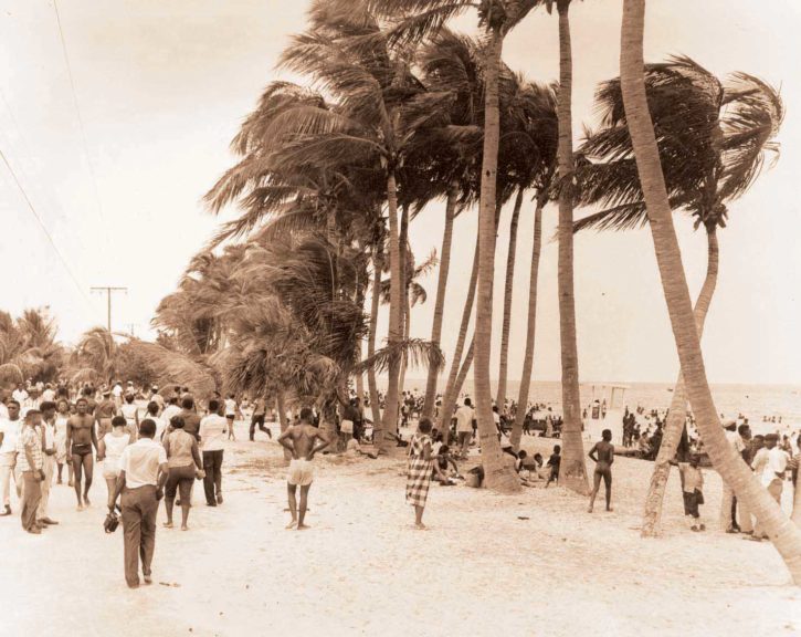 Miami’s Historic Black Beach, Virginia Key Beach Park, Is Still Thriving Today
