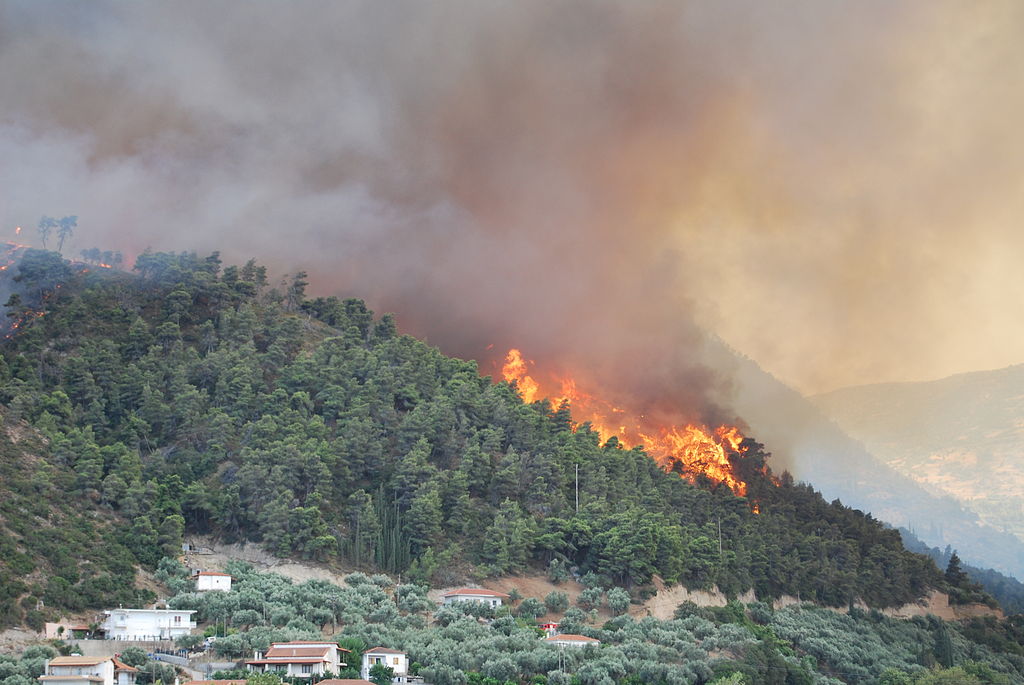 Turkey, Italy And Greece Devastated By Wildfires— The Worst In Years