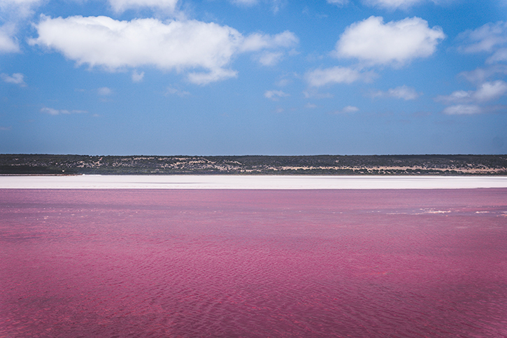 7 Pretty Pink Lakes Around The World