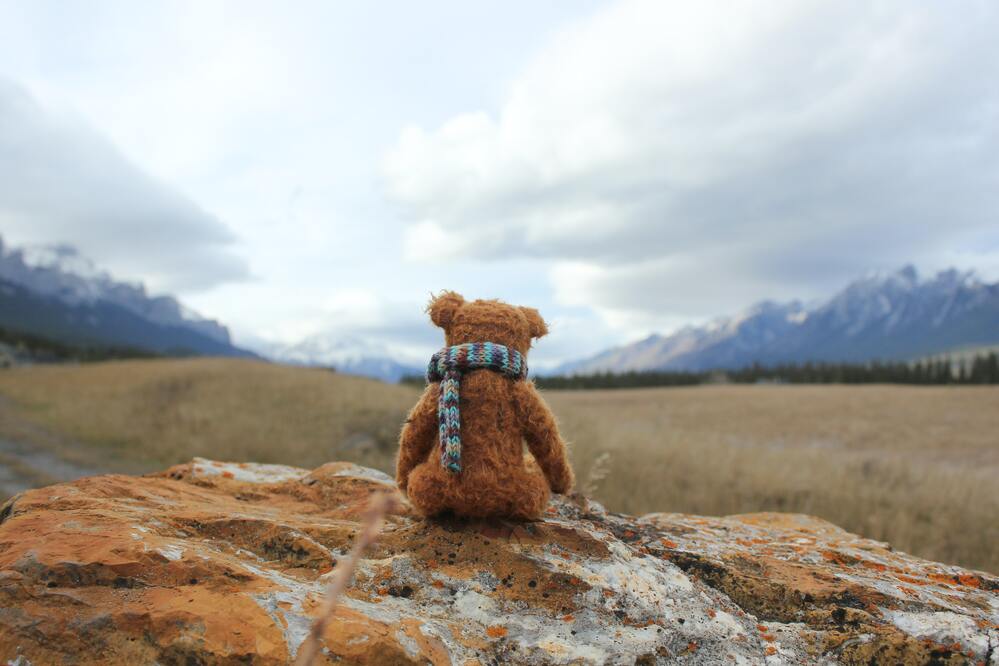 Ethiopian Child Loses Teddy Bear In National Park And Social Media Helped Find It