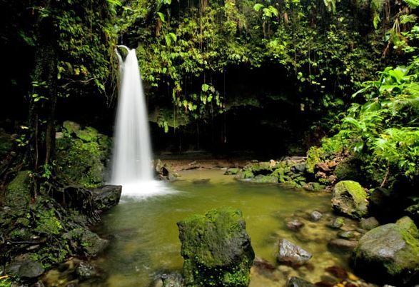 Looking To Relax? Dominica Is Ranked A Top Destination To Unwind In 2023 By Lonely Planet