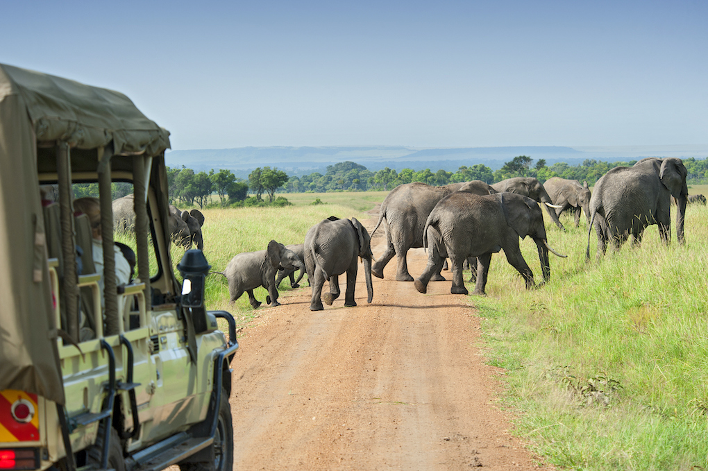 Kenya Named 'World's Leading Safari Destination' Seventh Year In A Row