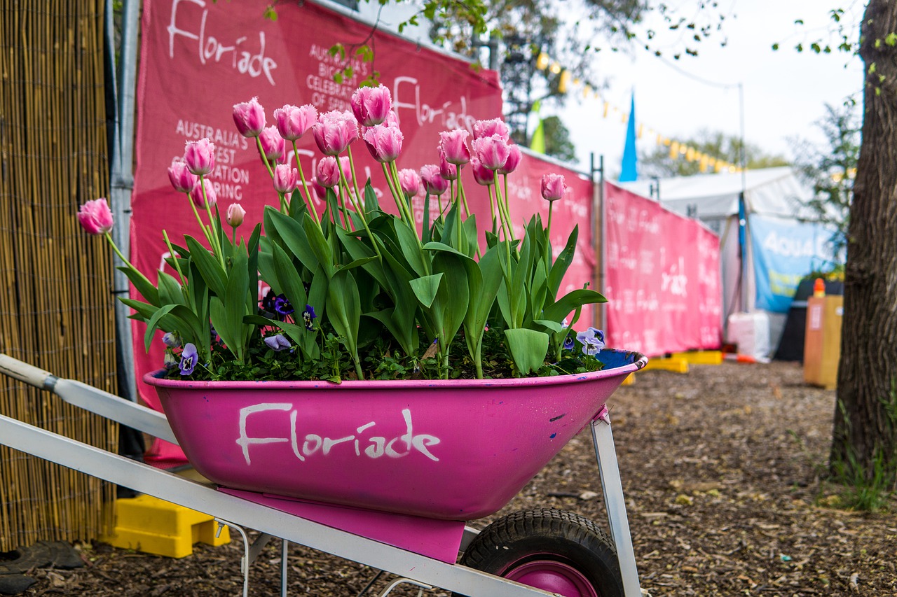 Visit A Once-A-DECADE Flower Festival - Floriade in Almere, Netherlands
