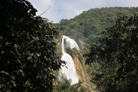 waterfalls and jungles in chiapas