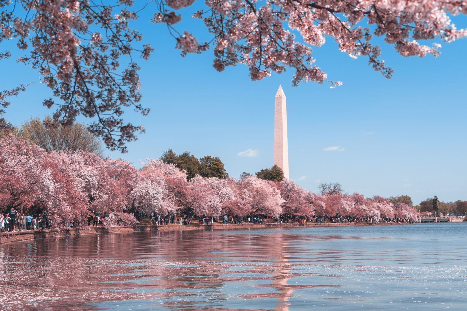 How to Maximize Your Time With One Day In DC