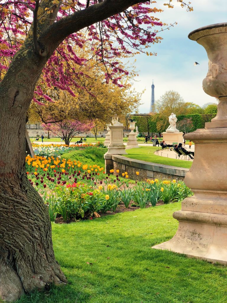 Paris Tuileries Garden