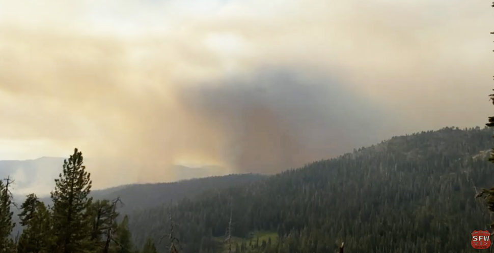 Pilots Witness Tree Branches Flying Over Yosemite Wildfire