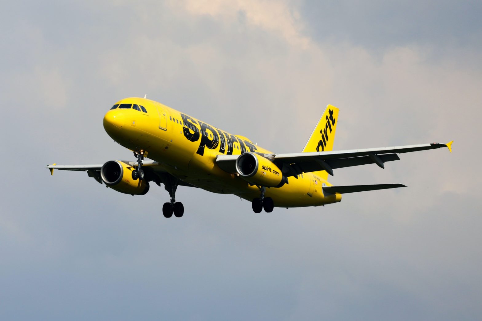 Job Alert! Spirit Airlines Will Be Hiring Hundreds Of Locals In Houston This Fall