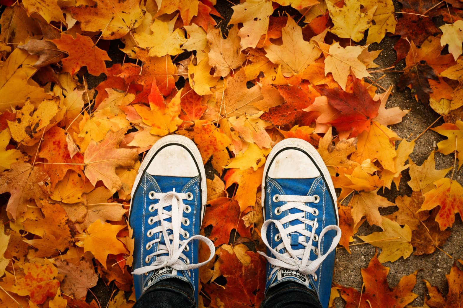 Tips For Traveling This Fall Season