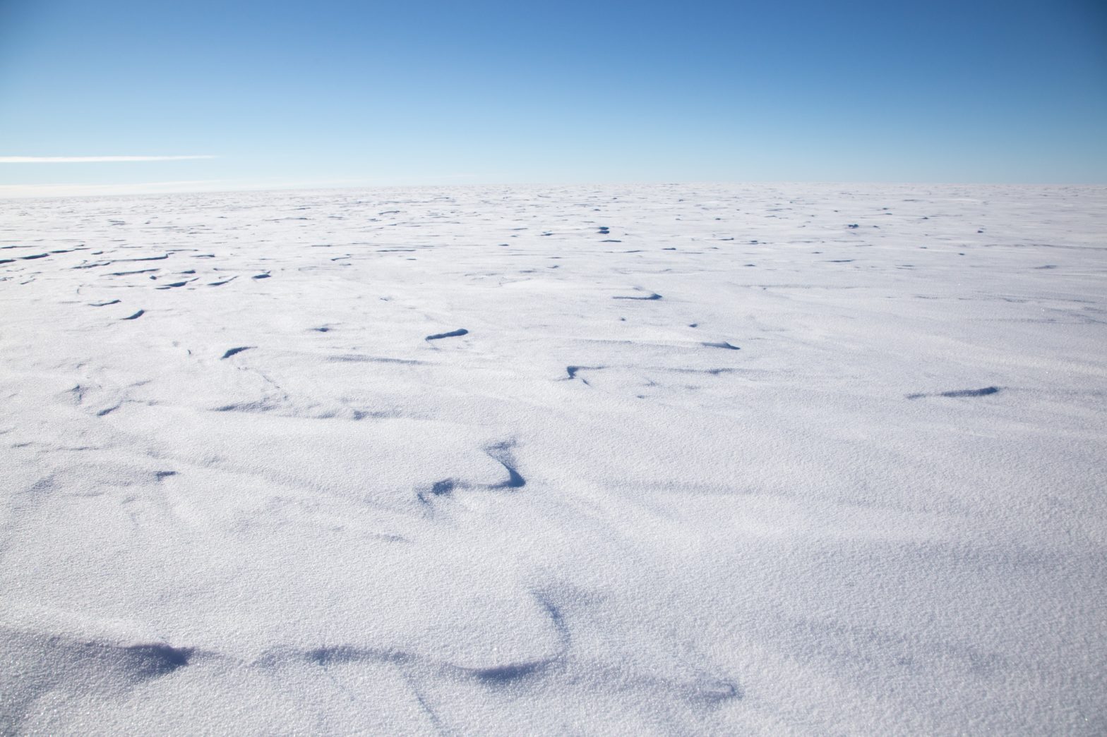 Un gran glaciar en la Antártida se está derritiendo rápidamente y podría elevar el nivel del mar – Travel Noire