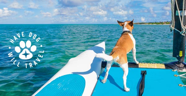 Aruba Welcomes Travelers &amp; Their Dogs This Fall