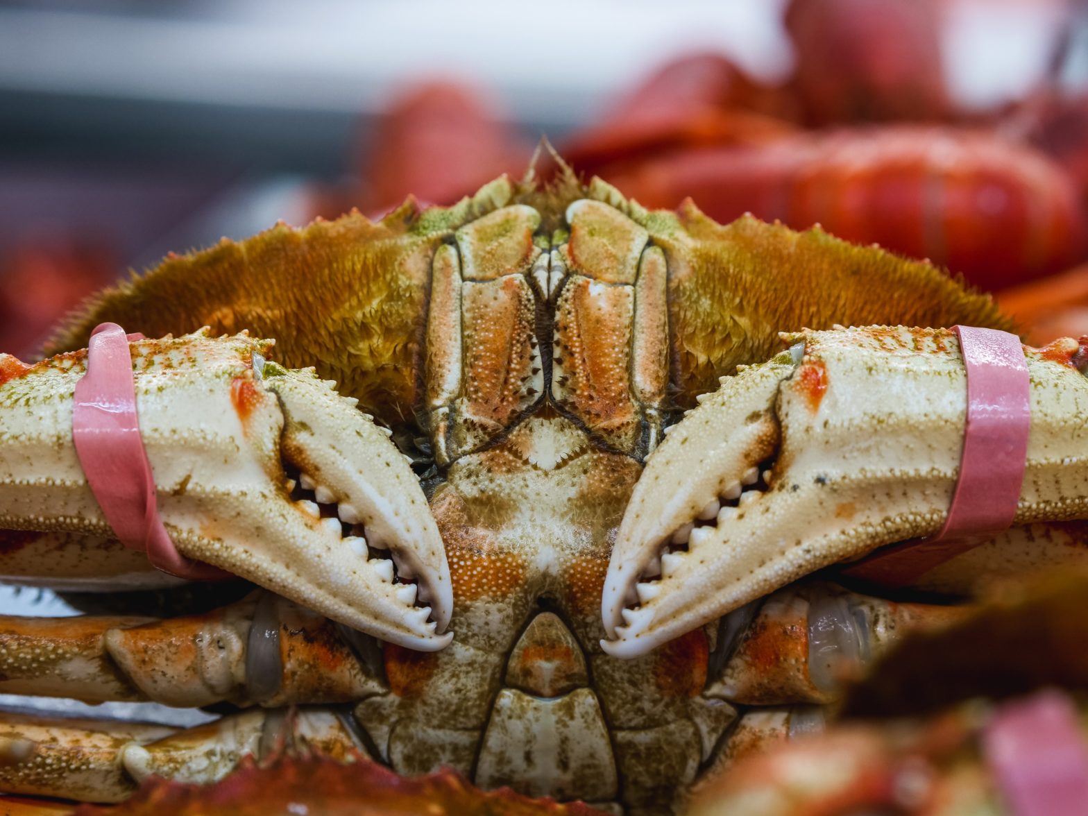 Enjoy An All-Expenses-Paid Trip To Seafood In Alaska
