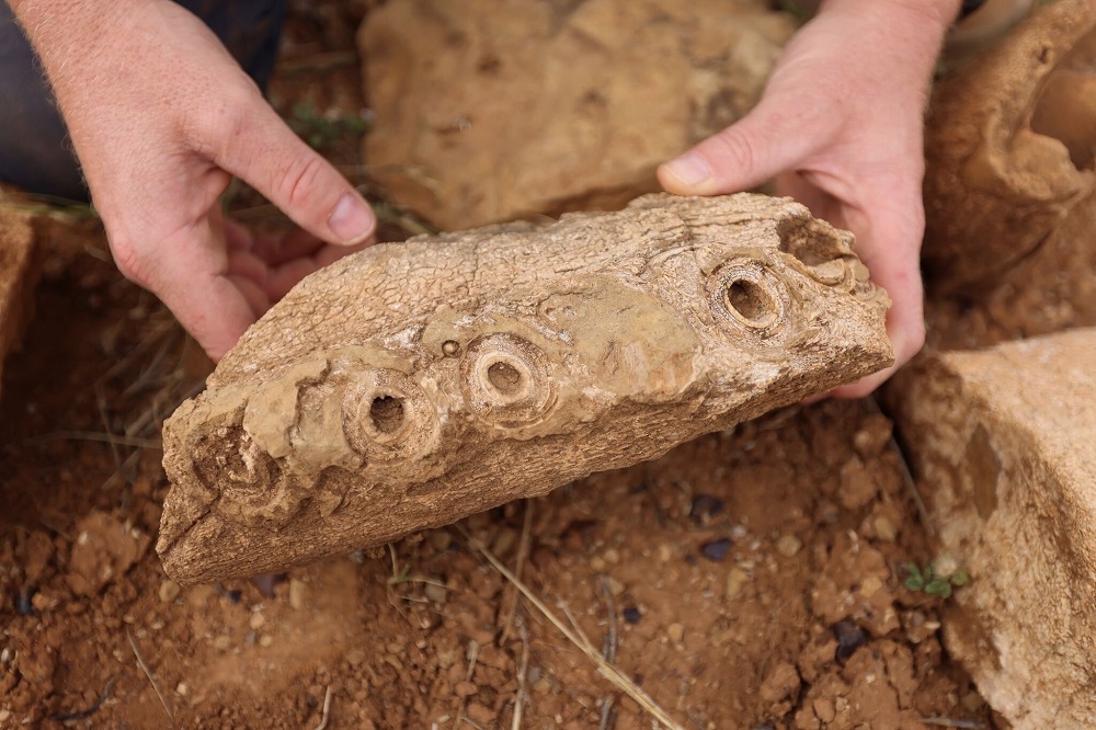 100 Million-Year-Old Fossil Found In Australia Is ‘Rosetta Stone’ Of Paleontology
